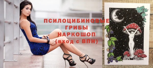 крисы Нефтекумск