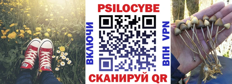 это наркотические препараты  Чебаркуль  Галлюциногенные грибы мицелий  где найти  